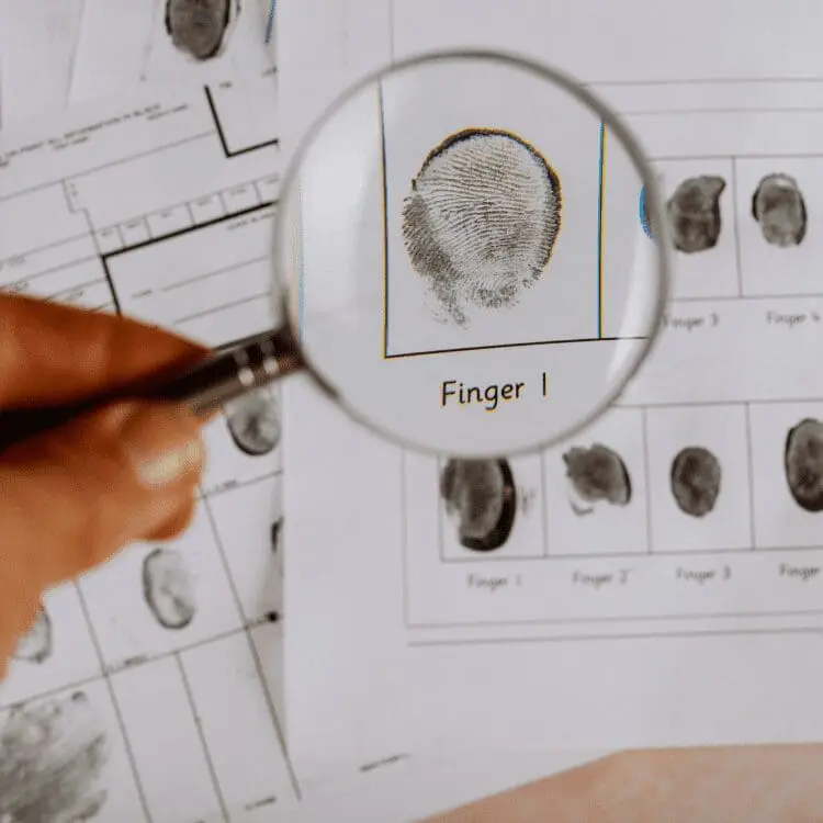 ANSIC factual investigations file work